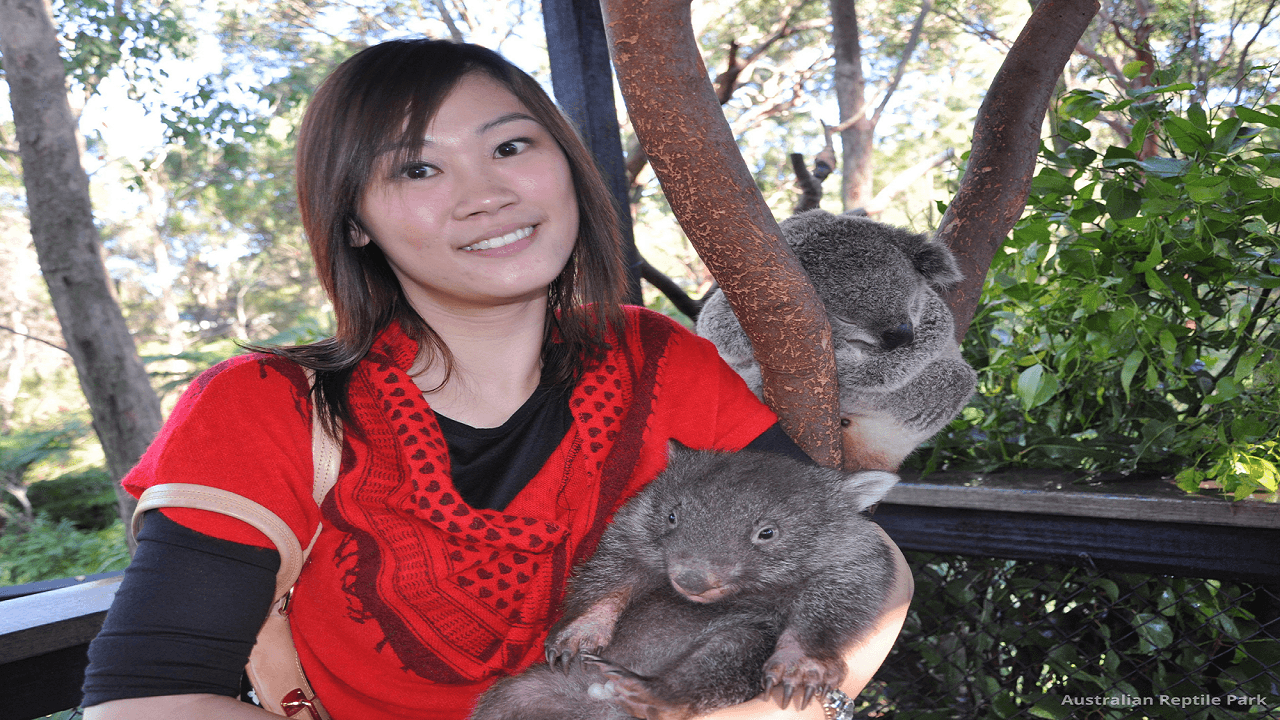 Australian Reptile Park - image 49