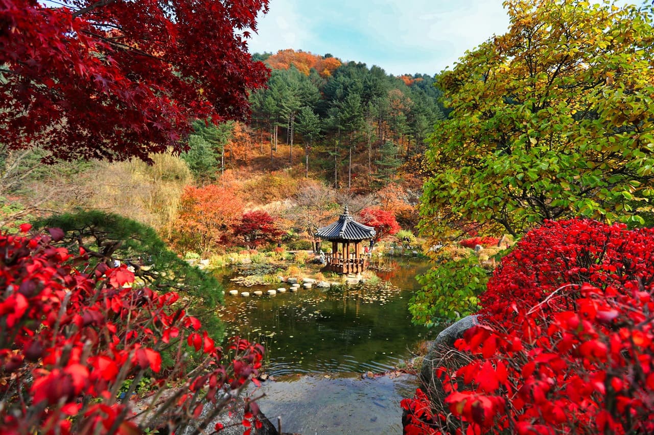 Nami Island, Mount Seorak, and Garden of Morning Calm Full-Day Tour from Seoul - 대표 이미지