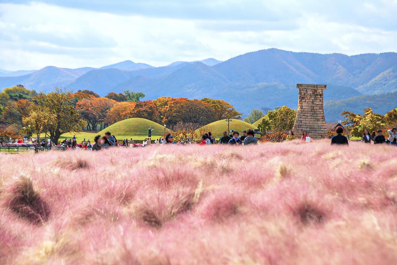 Tour de un día para admirar el follaje otoñal de Gyeongju desde Busan - imagen 8
