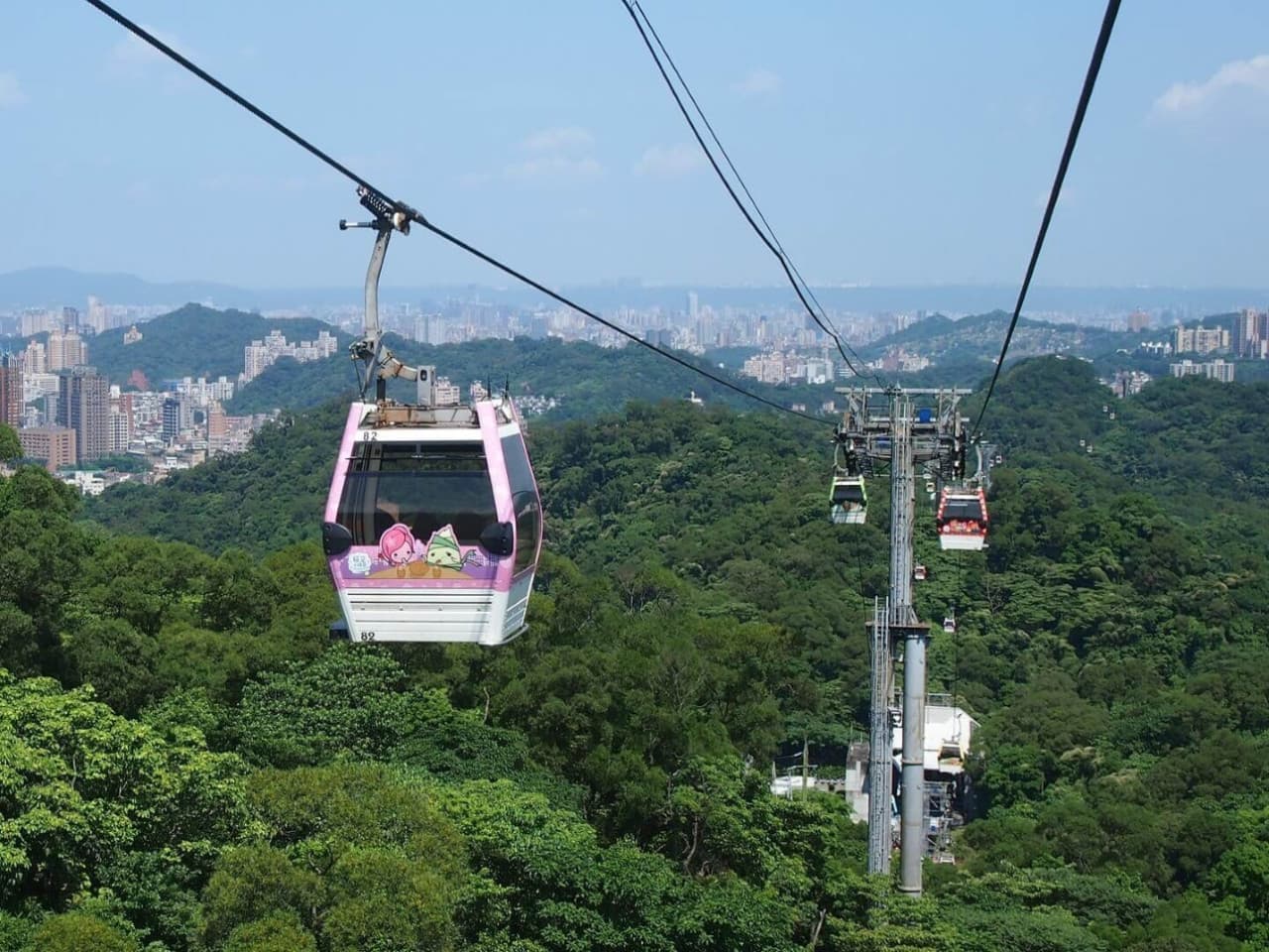 Pinglin Tea Culture and Maokong Full-Day Tour from Taipei - image 7