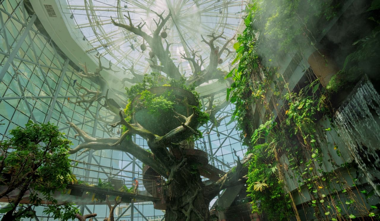 Entrada a The Green Planet Dubai - imagen 11