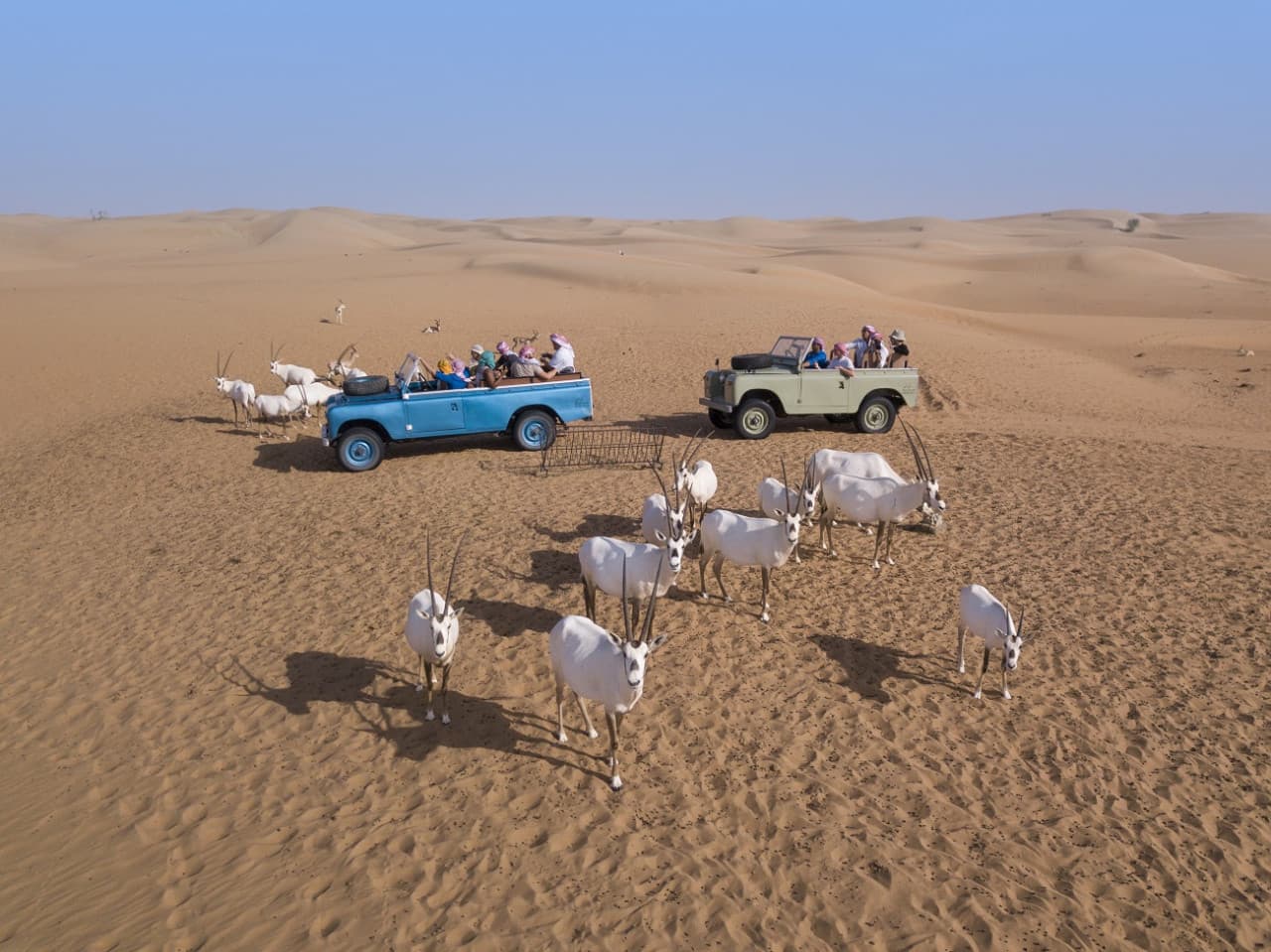 Heritage Dubai Desert Safari - main image
