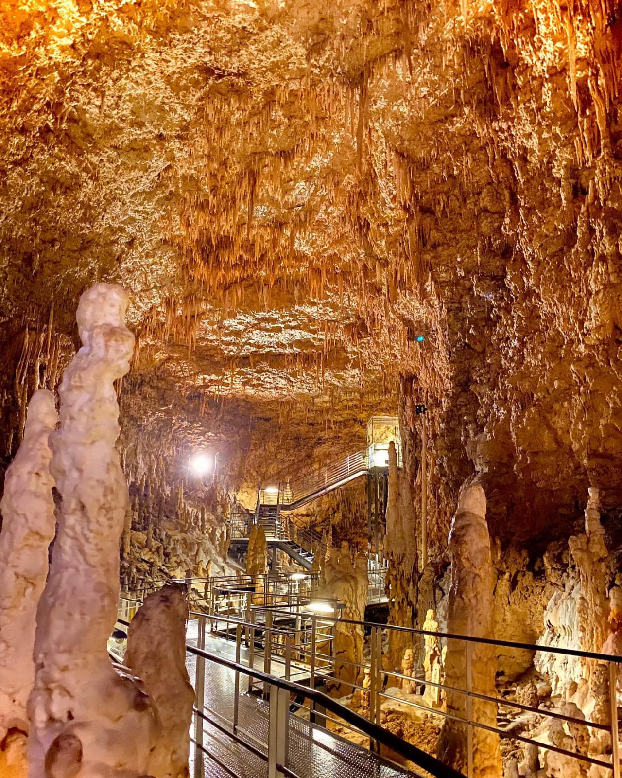 Okinawa World Pass - image 10