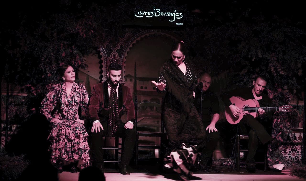 Flamenco Show at Tablao Torres Bermejas - image 3