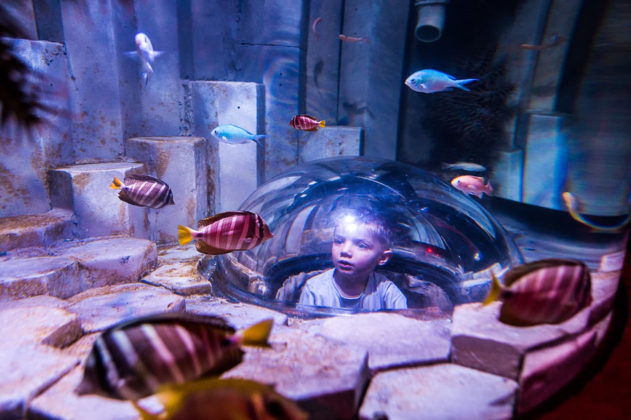 COMBO: Melbourne Skydeck + SEA LIFE Melbourne Aquarium Tickets - image 8