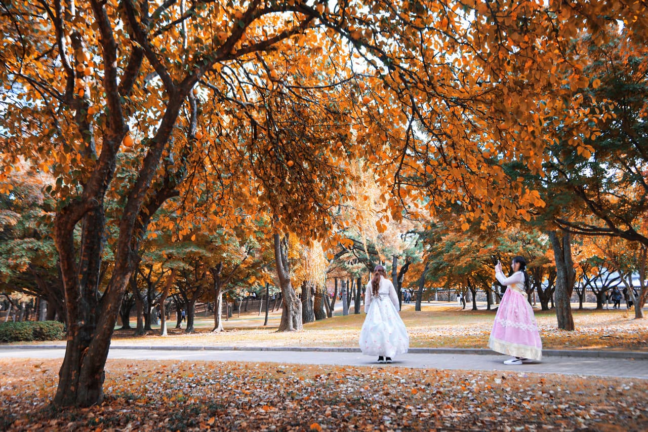 Gyeongju Autumn Foliage One Day Tour from Busan - main image