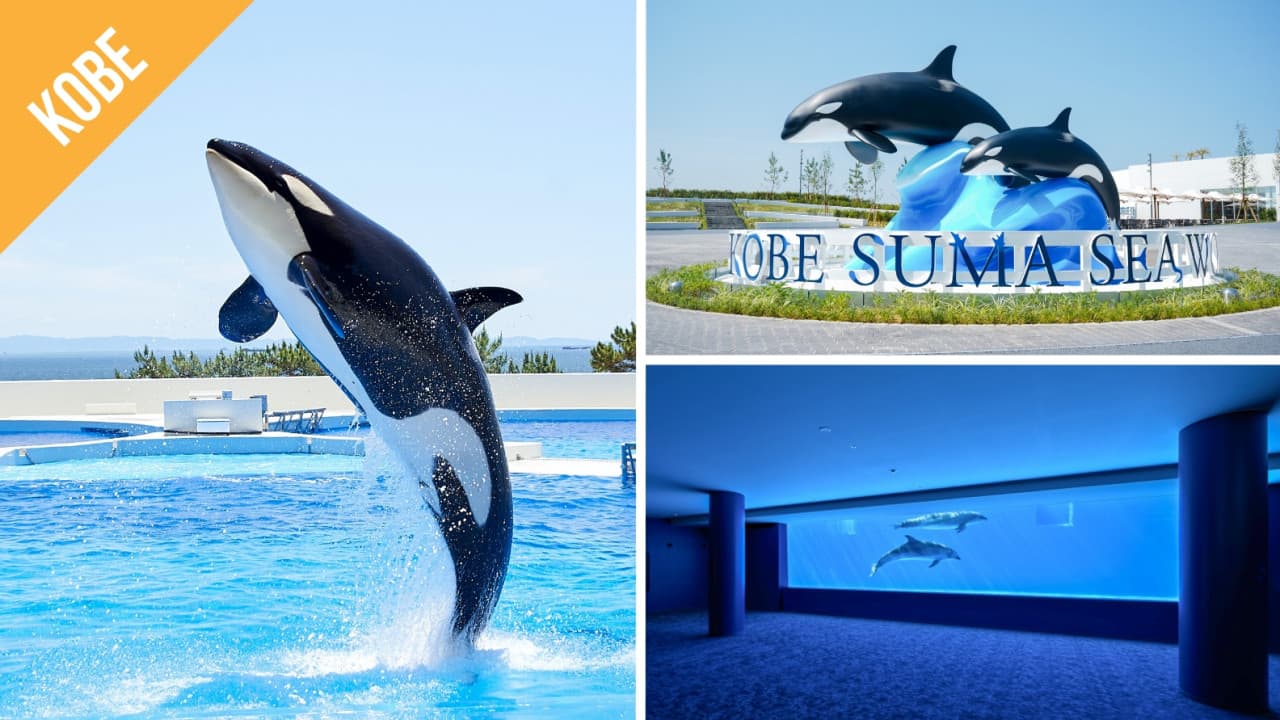 Have Fun in Japan Pass - 2 Weeks Free Pass - imagen 3