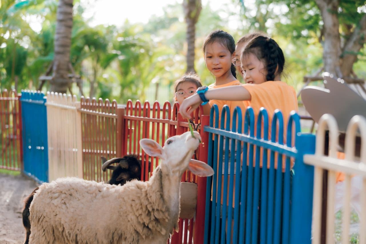 Entrada al parque de diversiones VinWonders Nam Hoi An - imagen 11