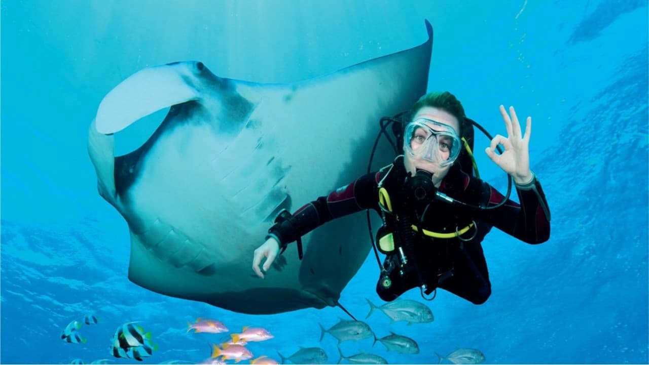 어드벤처 코브 워터파크 - 얼티메이트 마린 라이프 익스피리언스 (Ultimate Marine Life Experience) - 이미지 3