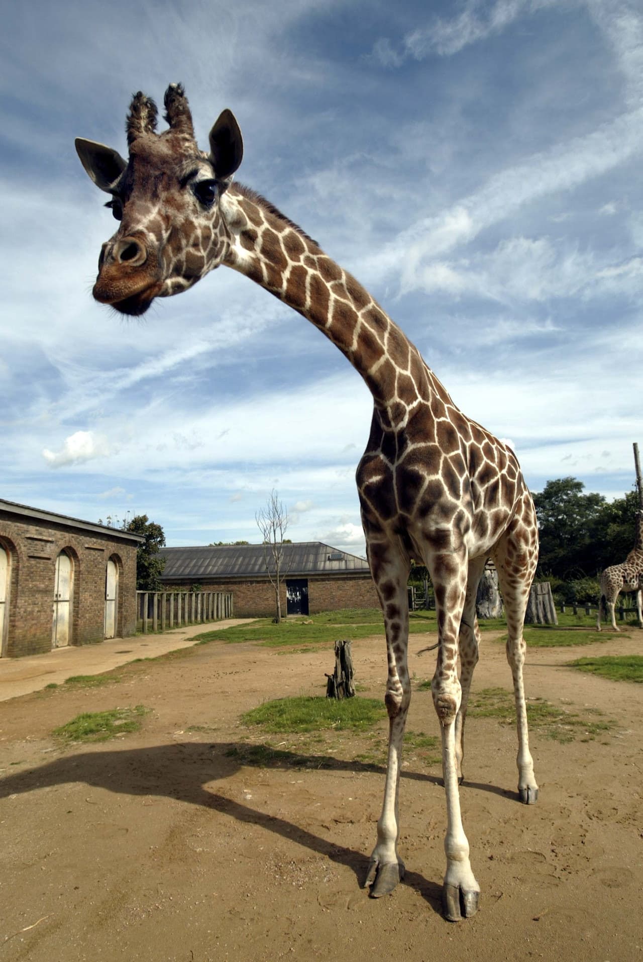 London Zoo - image 6
