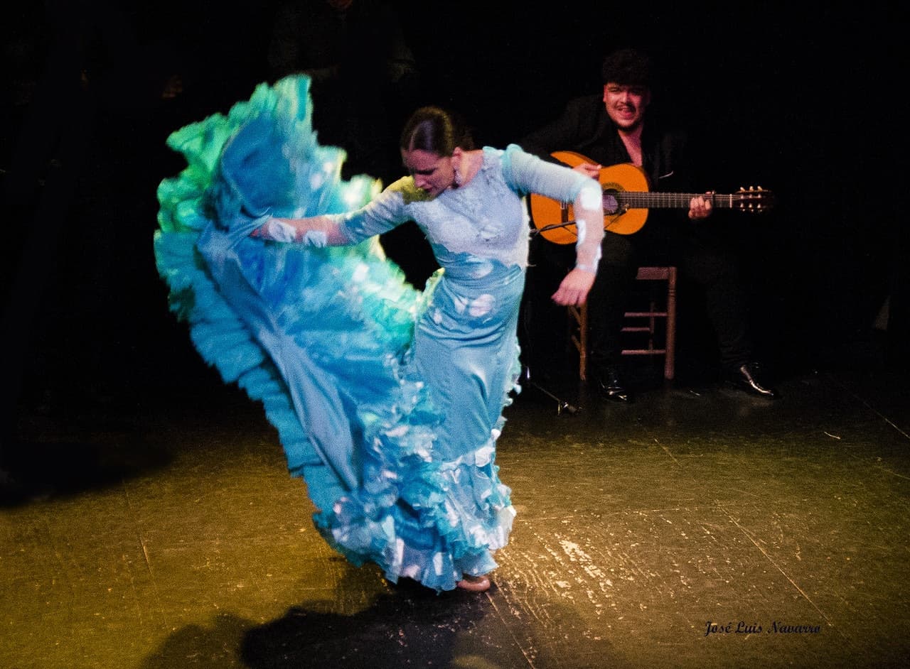 Flamenco Show at Triana Theater - image 6