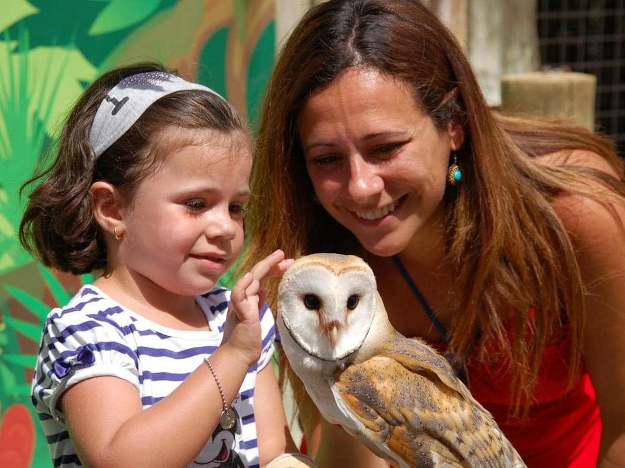 Terra Natura Benidorm: Entry Ticket - image 7