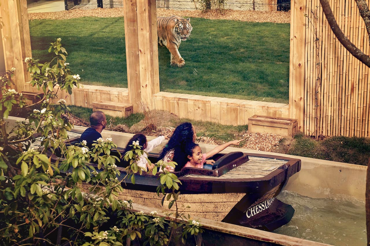 Chessington World of Adventures Ticket - image 17