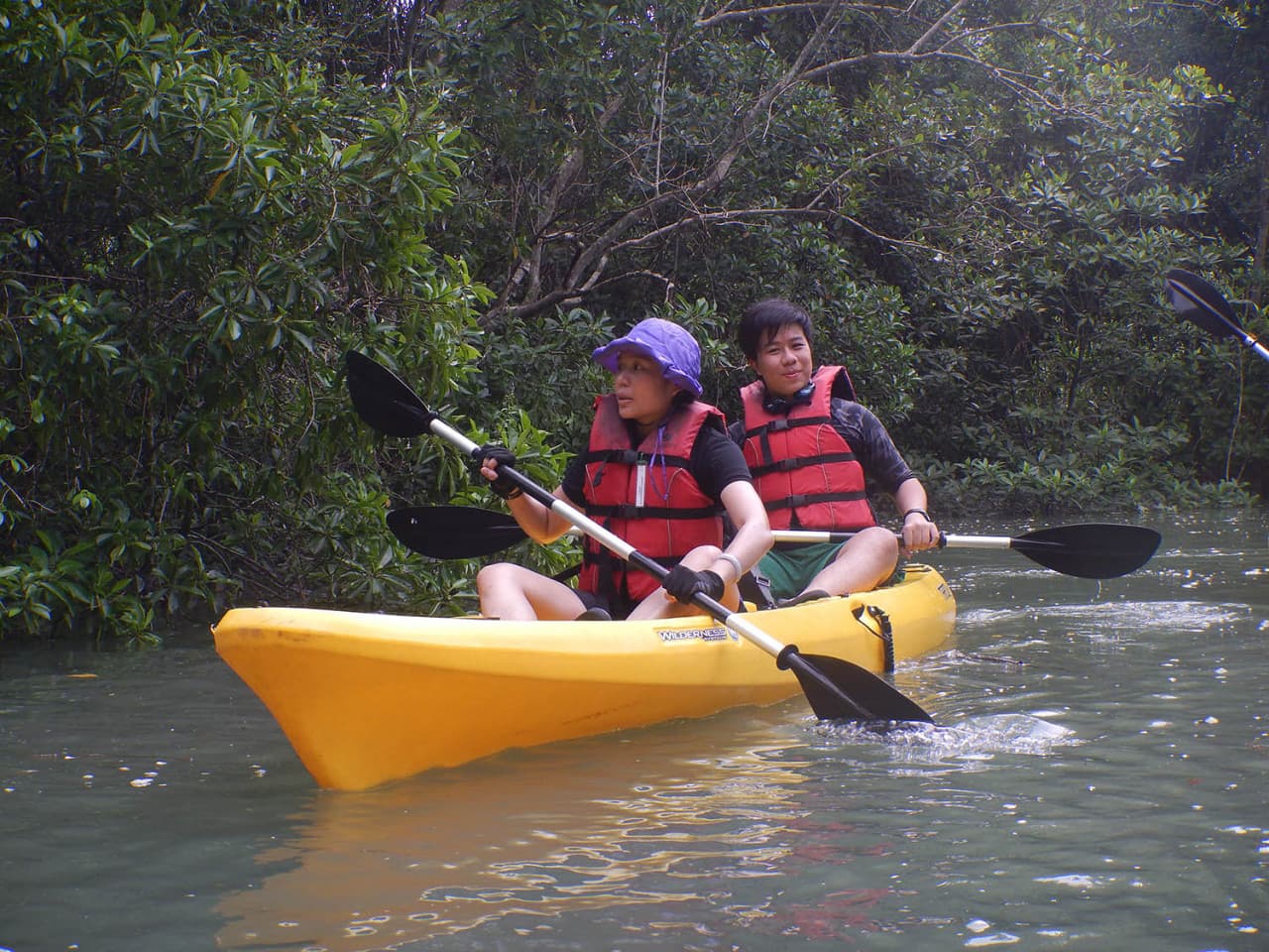 Pulau Ubin Kayaking - image 26