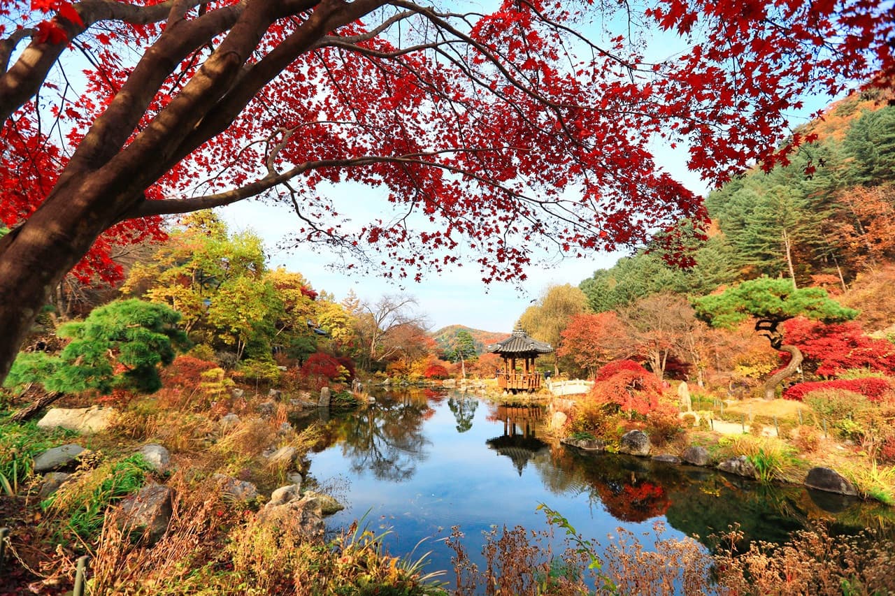 Nami Island, Mount Seorak, and Garden of Morning Calm Full-Day Tour from Seoul - 이미지 2