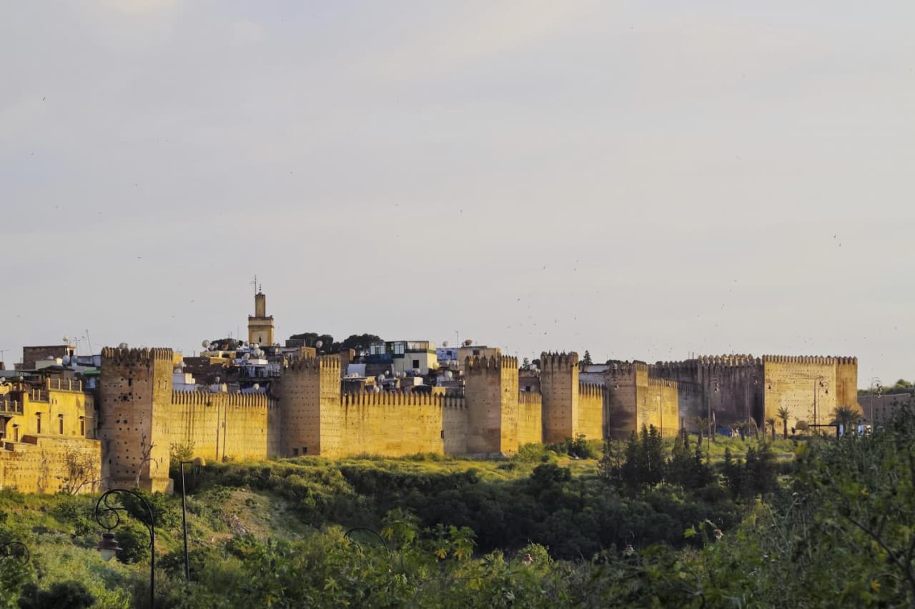 Fez Full-Day Tour from Casablanca: Medina of Fez, Al-Qarawiyyin Mosque, Al-Attarine Medersa - image 4