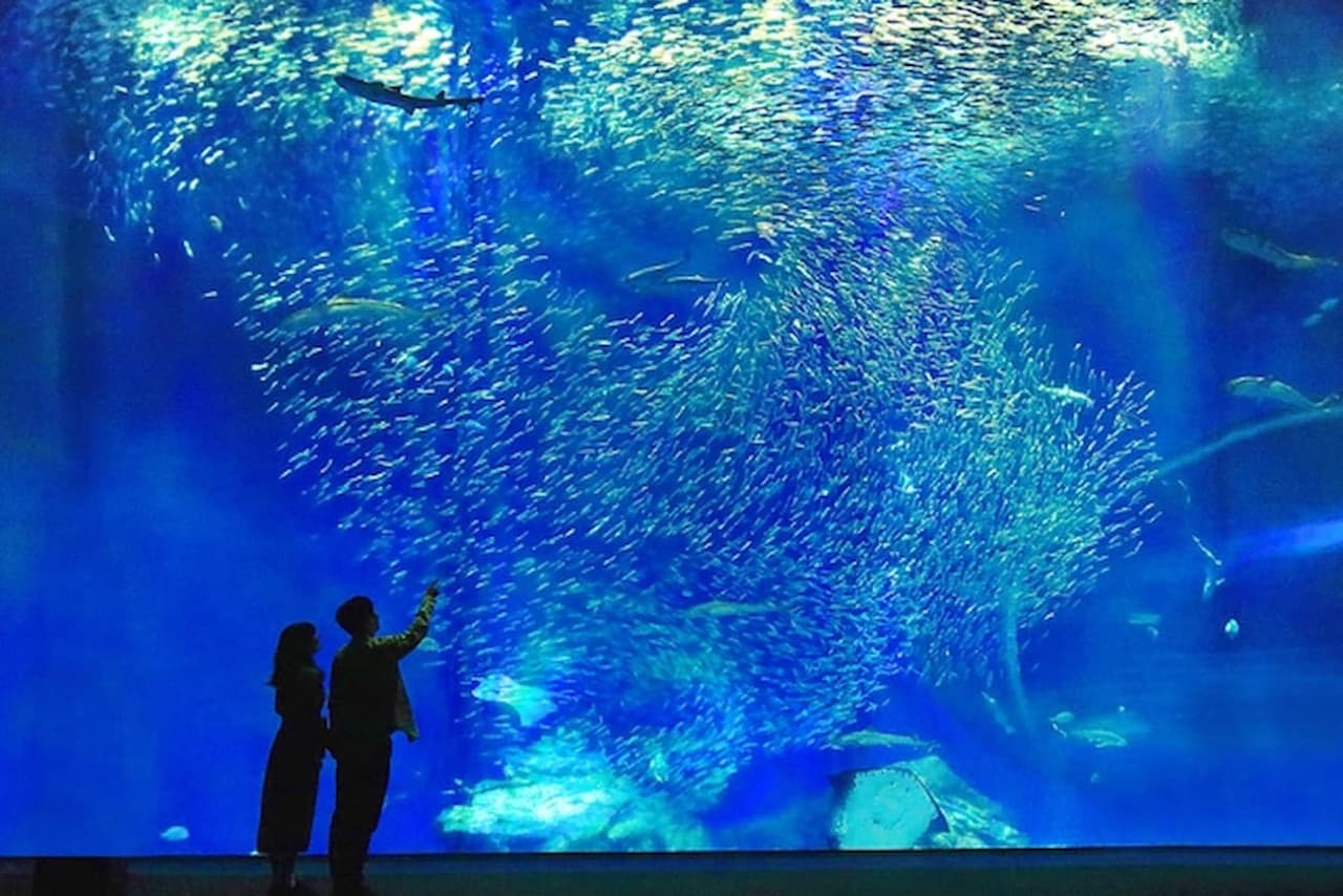 Aqua World Ibaraki Prefectural Oarai Aquarium Ticket - image 4