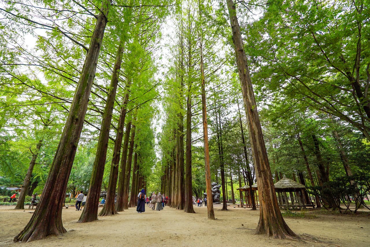 Nami Island, Petite France, and Italian Village Tour from Seoul - image 2