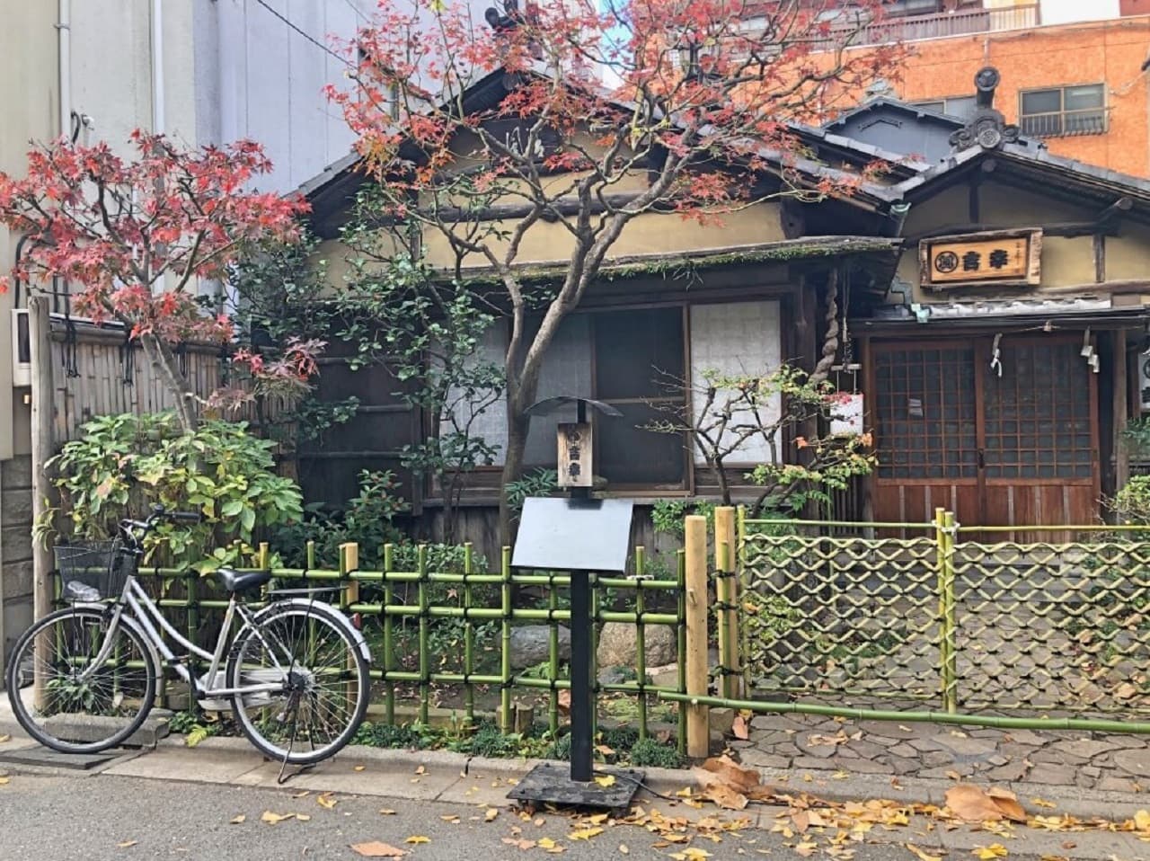 Tokyo Family Food Tour in Asakusa and Sensoji - image 16