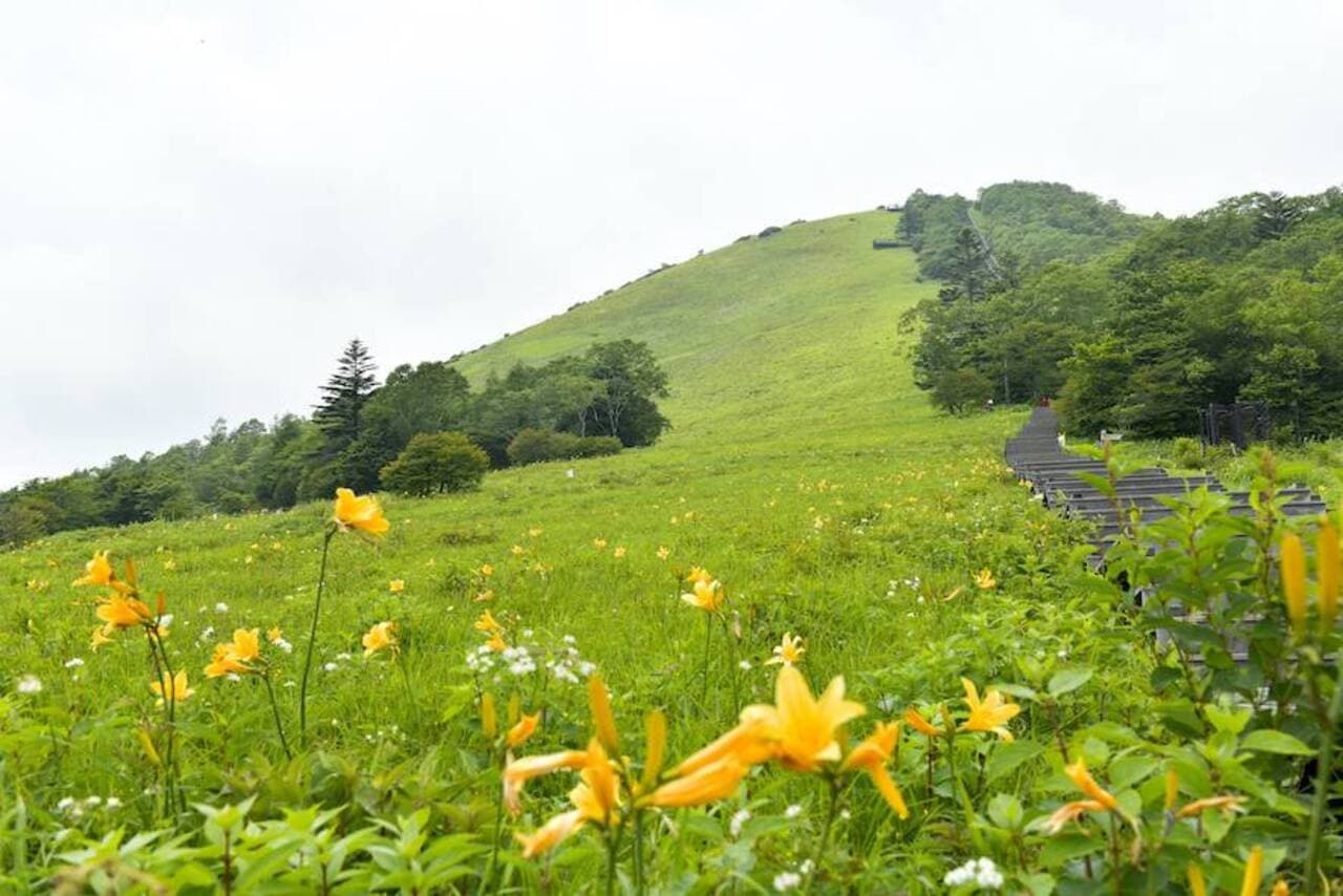 Nikko Pass All Area - imagen 8
