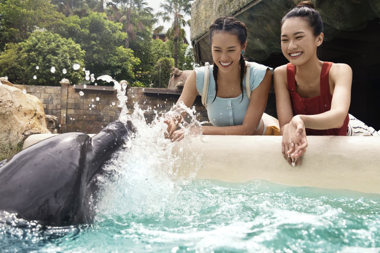 Experiencias con delfines en Marine Mammal Habitat Sentosa - imagen 5