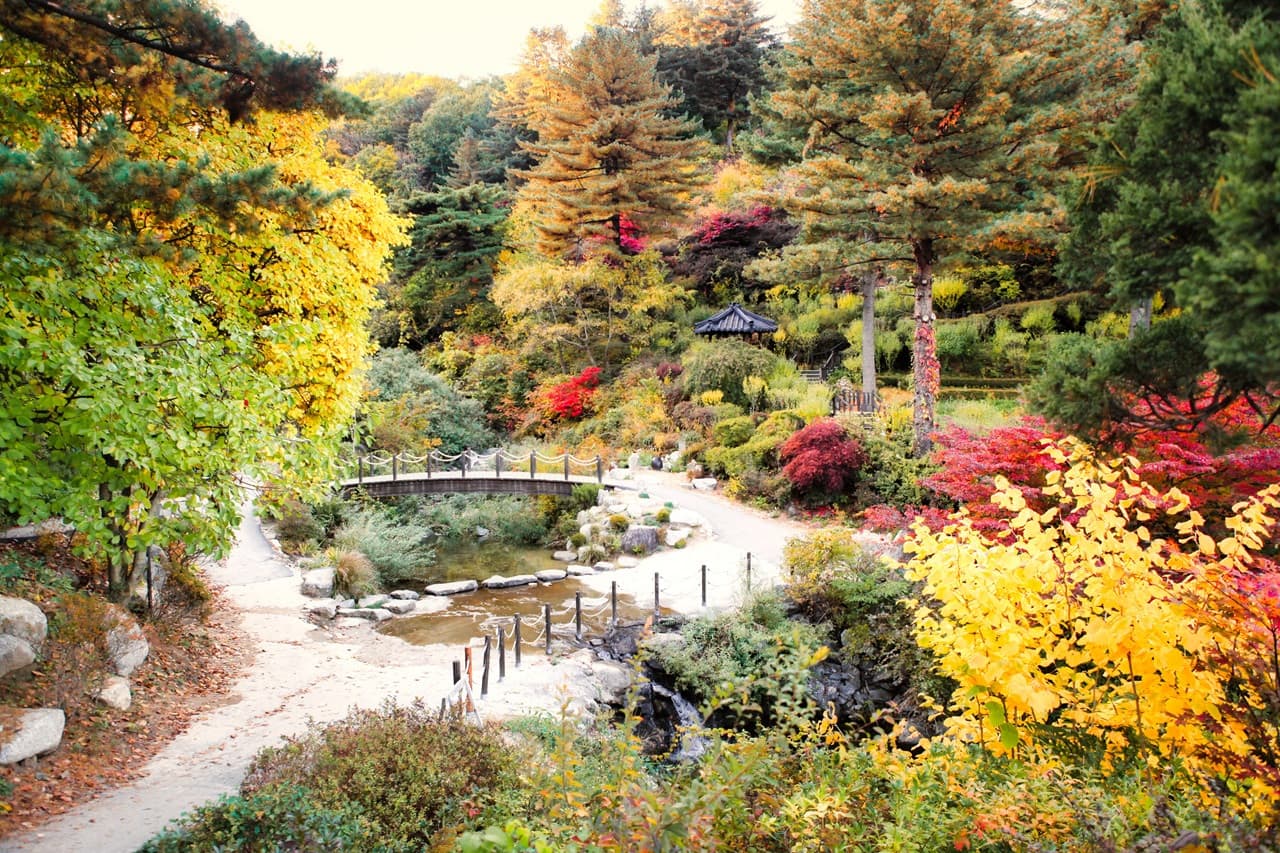 Nami Island, Mount Seorak, and Garden of Morning Calm Full-Day Tour from Seoul - 이미지 3