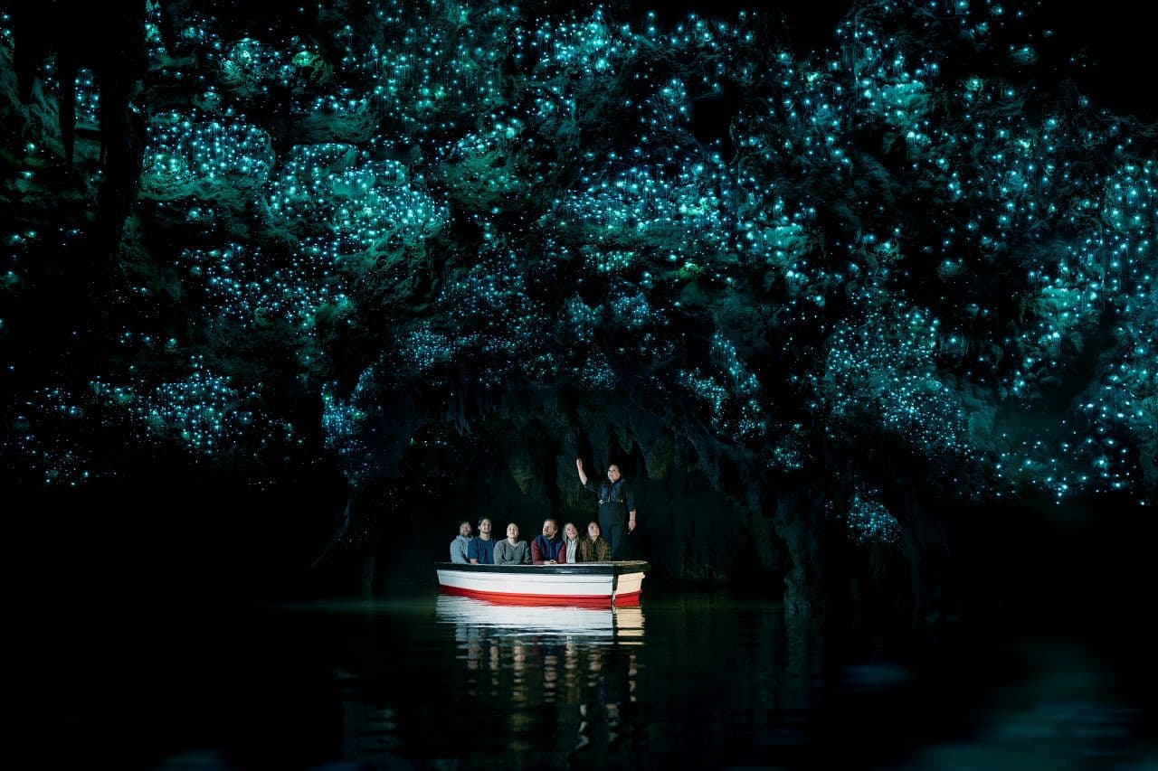 Waitomo Glowworm Caves Guided Tour - main image