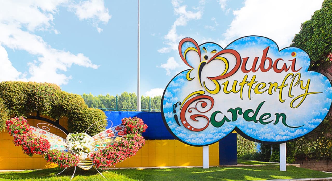 COMBO: Dubai Miracle Garden + Dubai Butterfly Garden Tickets - image 5