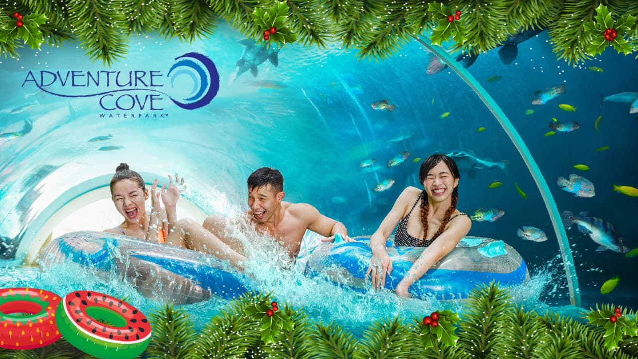 COMBO: Universal Studios Singapore + Singapore Oceanarium + Adventure Cove Waterpark Tickets - image 10