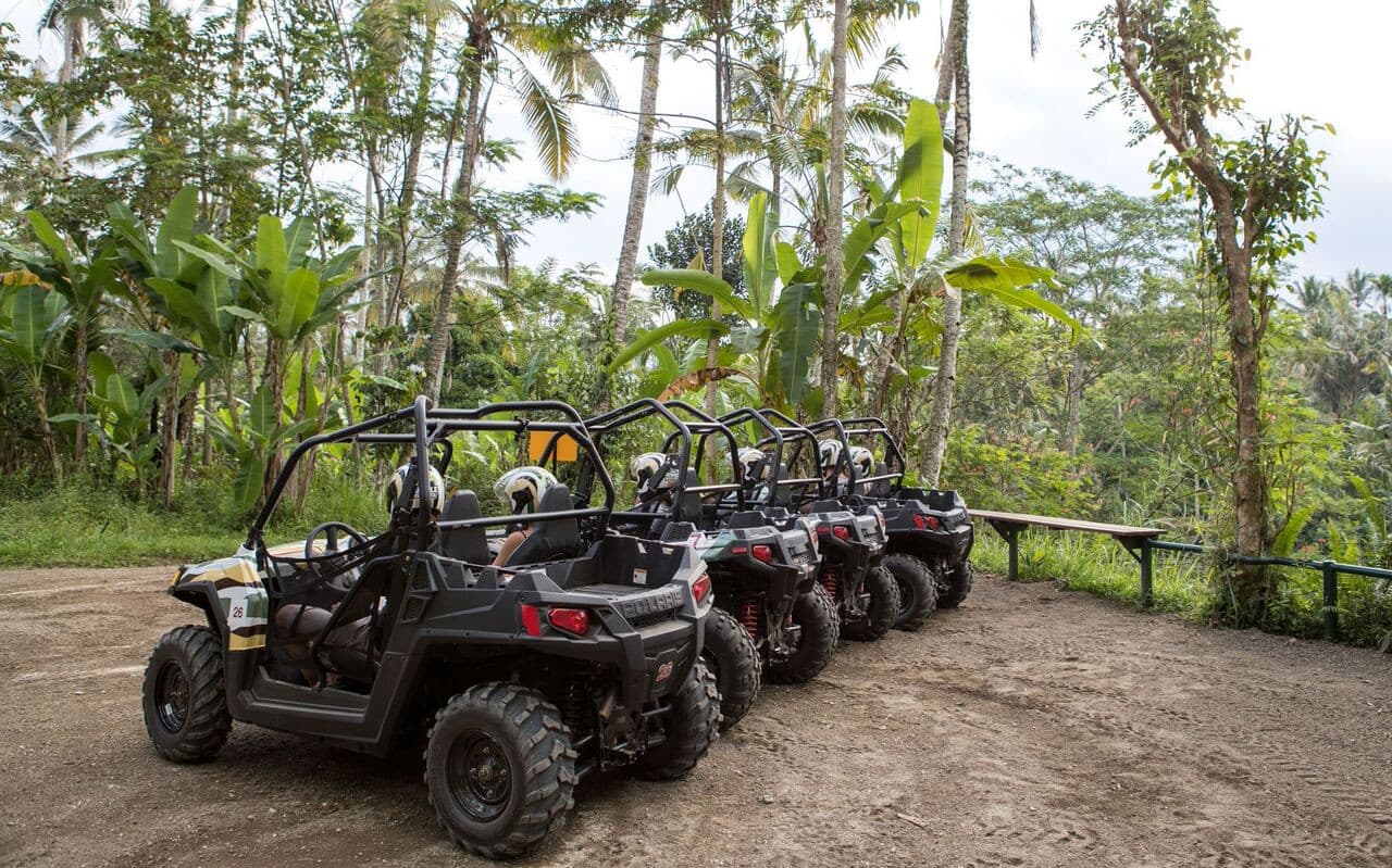 Bali's Thrilling Jungle Buggy Adventure by Mason Adventures - imagen 3