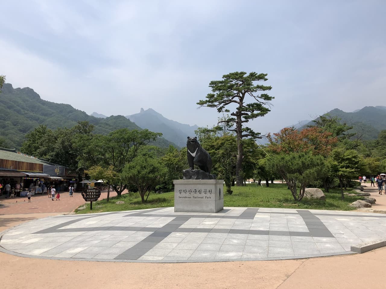 Nami Island, Mount Seorak, and Gapyeong Rail Bike Full-Day Tour from Seoul - image 19
