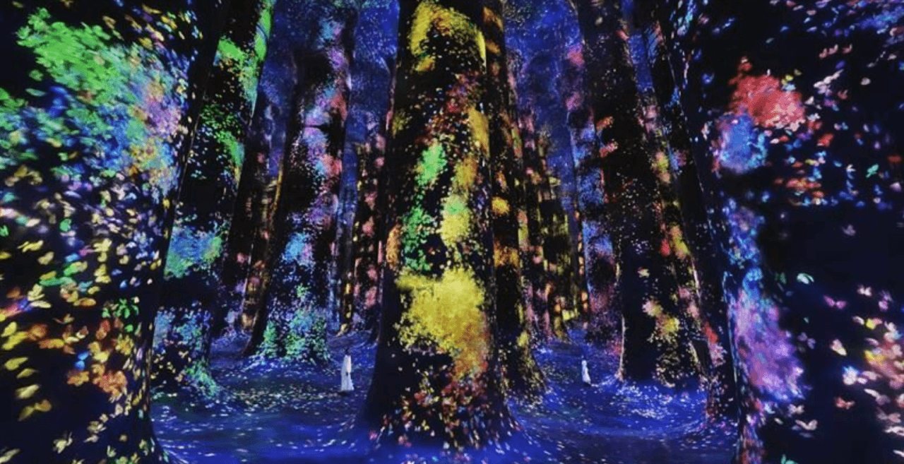 teamLab Phenomena Abu Dhabi Ticket - image 11