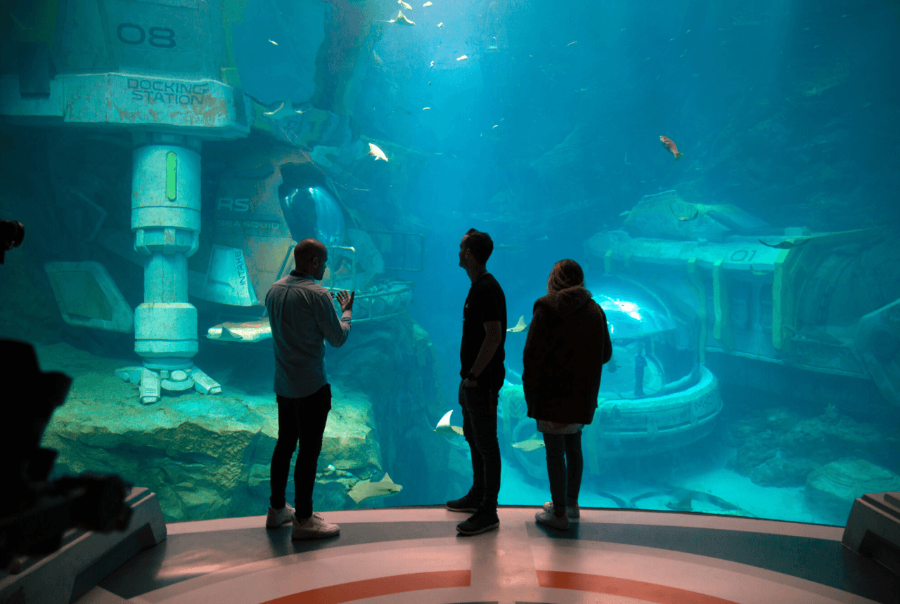 Entrada a SeaWorld Abu Dhabi - imagen 11