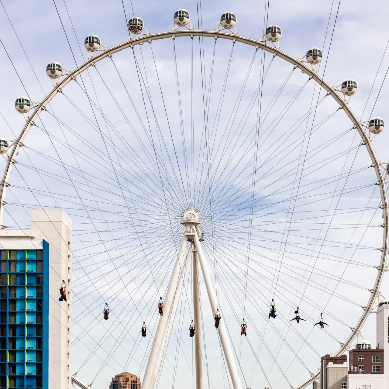 Fly LINQ Zipline - main image