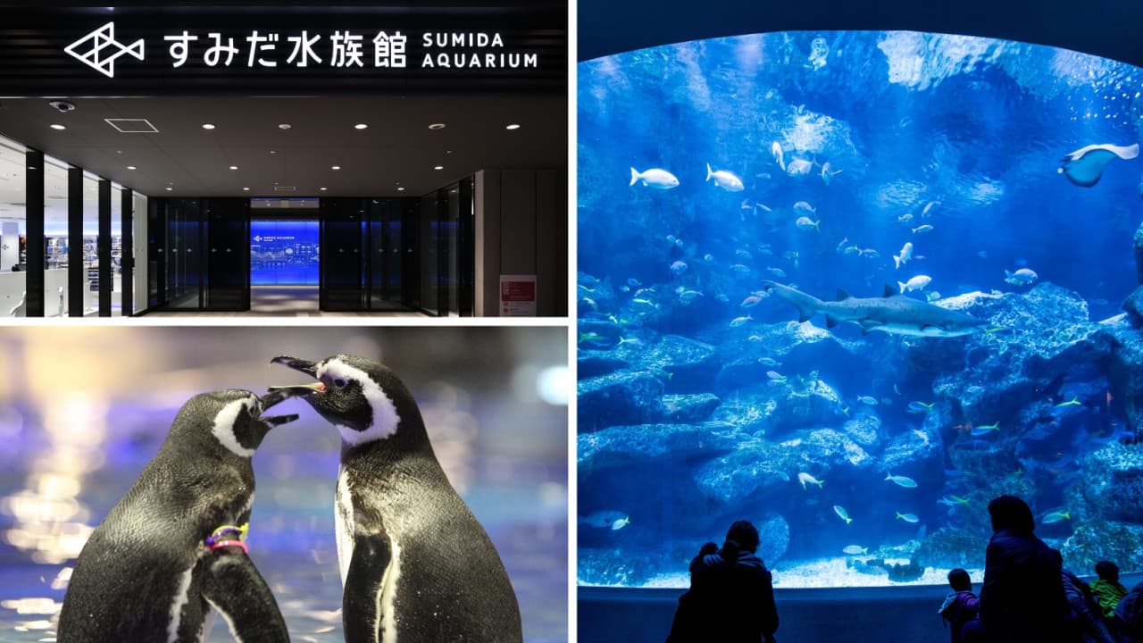 Have Fun in Japan Pass - 2 Weeks Free Pass - image 7