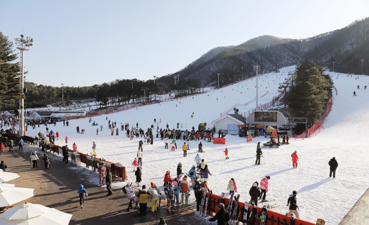 Jisan Forest Ski Resort Full-Day Tour from Seoul - imagen 10