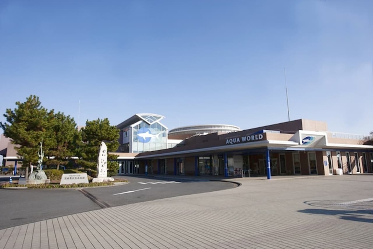 Aqua World Ibaraki Prefectural Oarai Aquarium Ticket - image 8