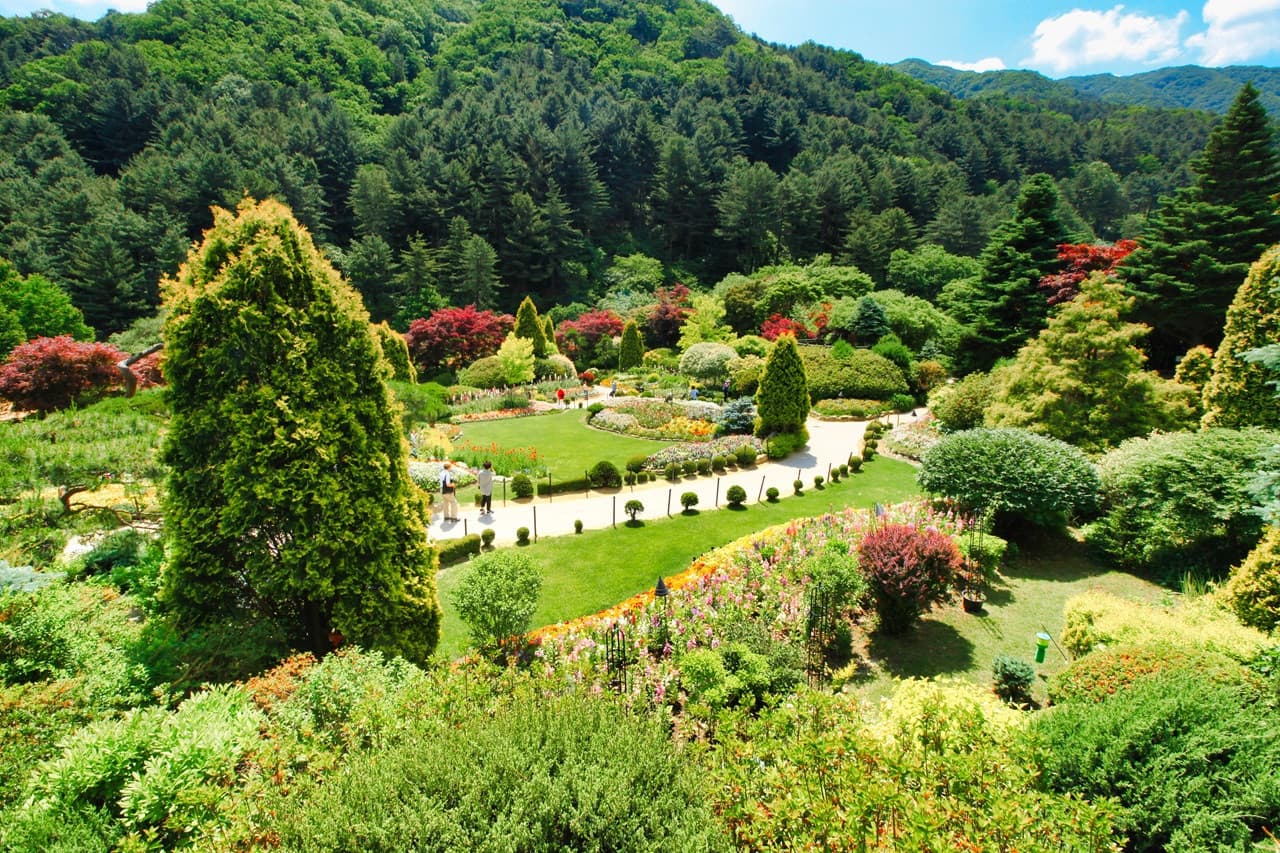 Nami Island, Mount Seorak, and Garden of Morning Calm Full-Day Tour from Seoul - 이미지 27