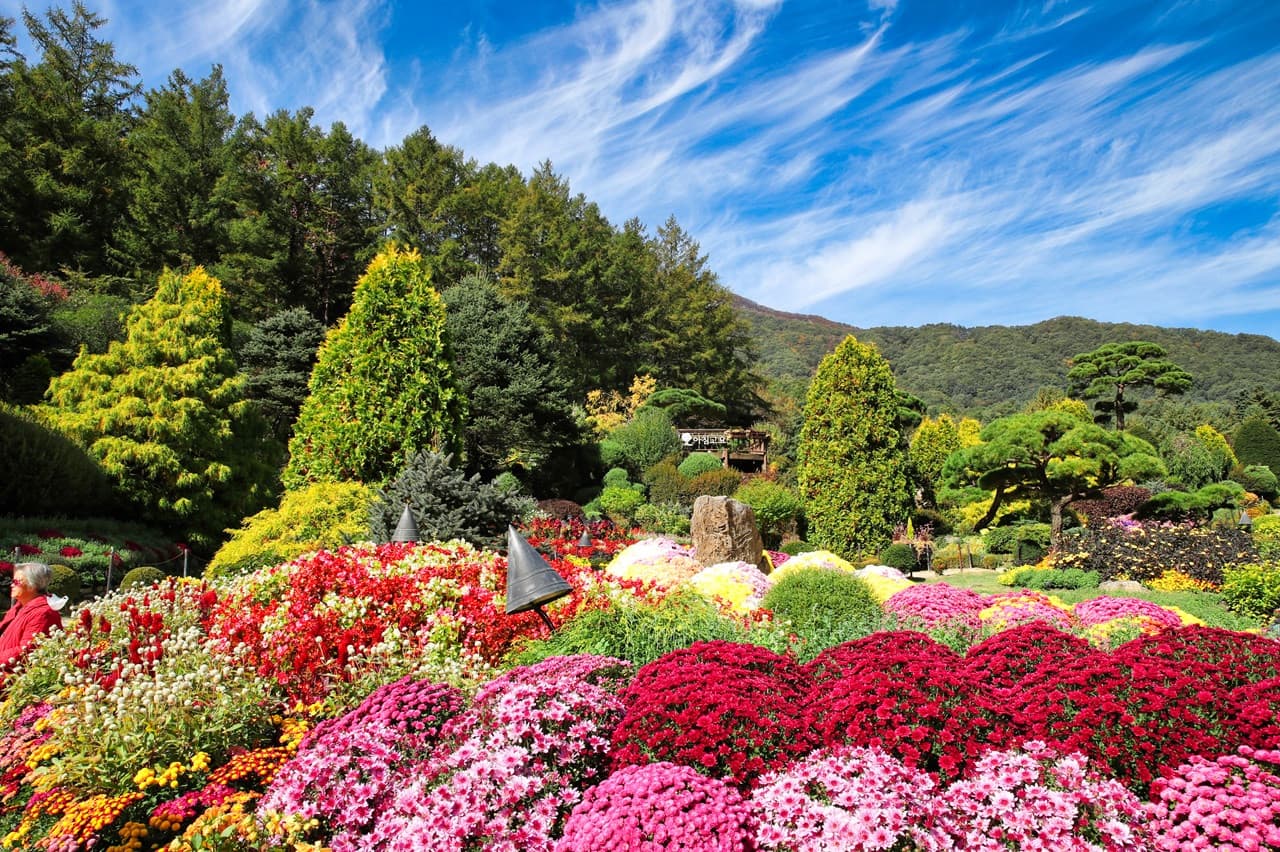 Nami Island, Mount Seorak, and Garden of Morning Calm Full-Day Tour from Seoul - image 28