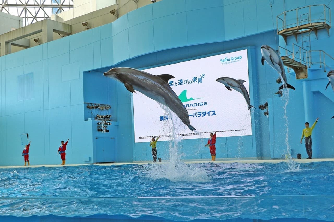 Yokohama Hakkeijima Sea Paradise - imagen 3