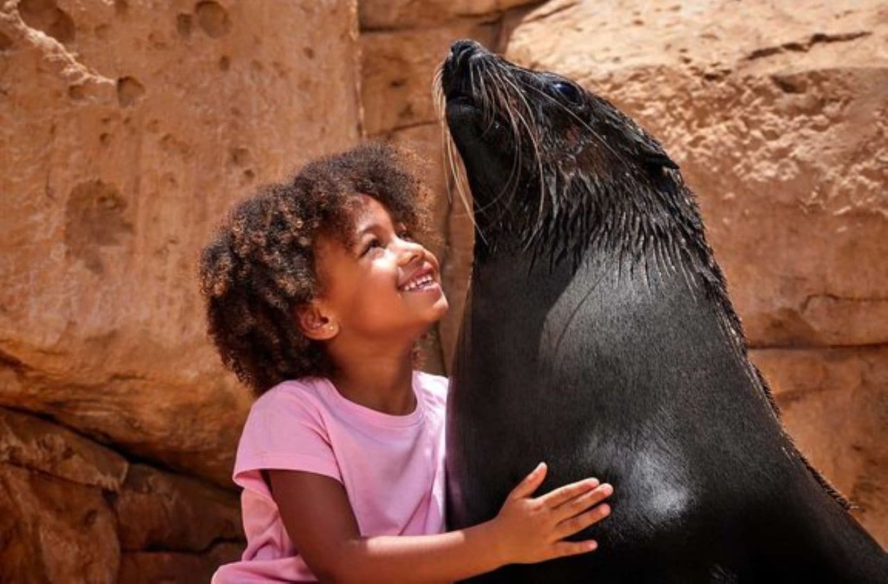 Atlantis Dubai Ticket - image 11