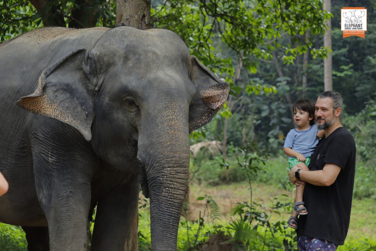 Elephant Jungle Sanctuary Koh Samui - image 8