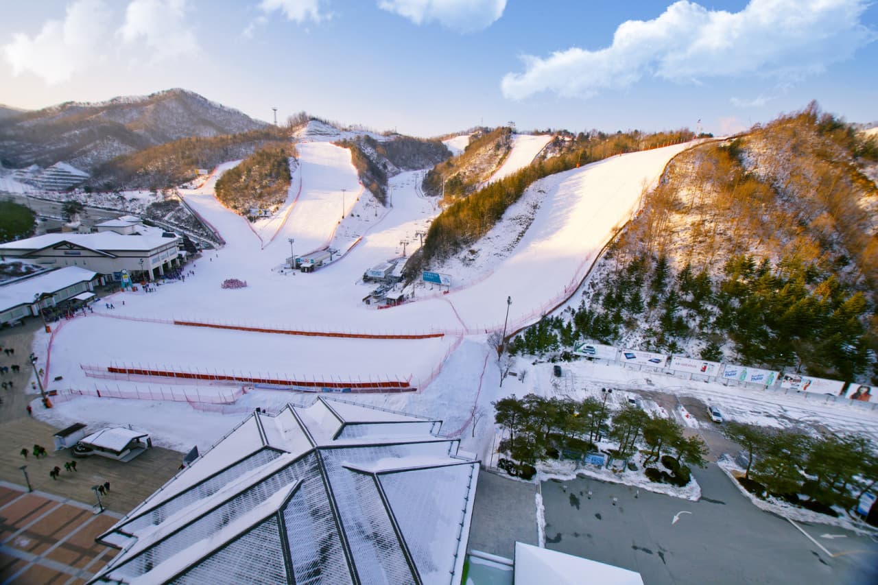 Elysian Gangchon Ski Resort and Nami Island Full-Day Tour from Seoul - image 7