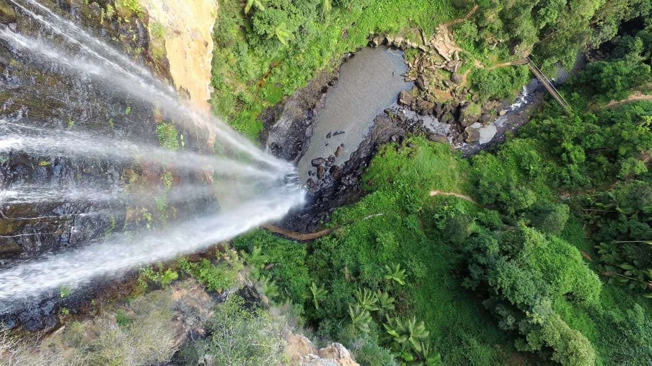 Springbrook National Park Tour: Natural Bridge and Waterfalls - image 8