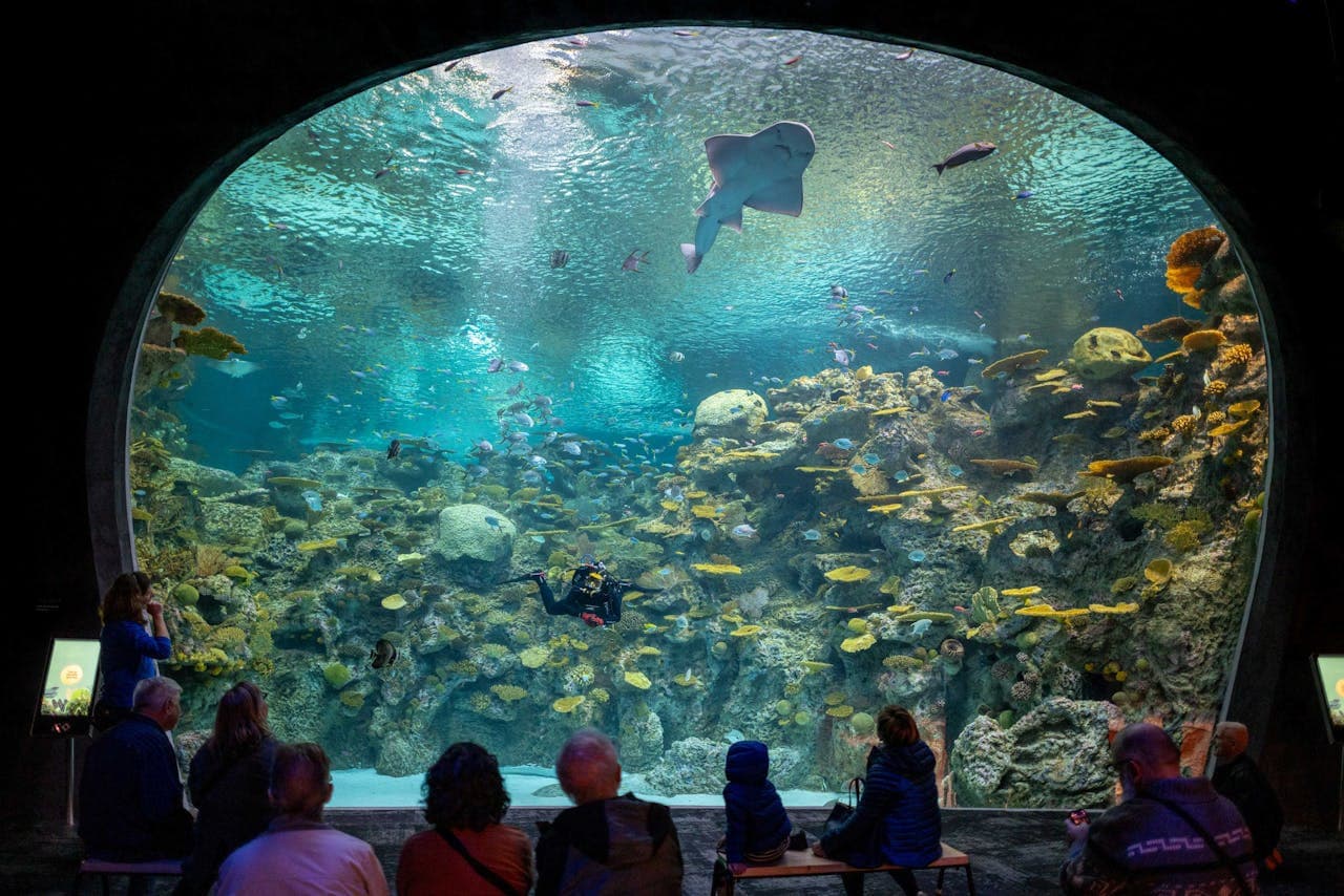Seattle Aquarium Ticket - main image