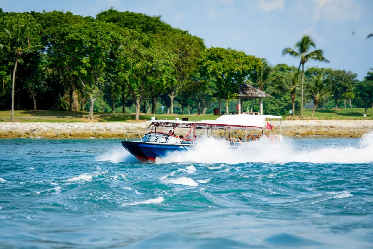 COMBO: Singapore Cable Car + Albatross Hop-On Hop-Off Speedboat Tickets - image 2