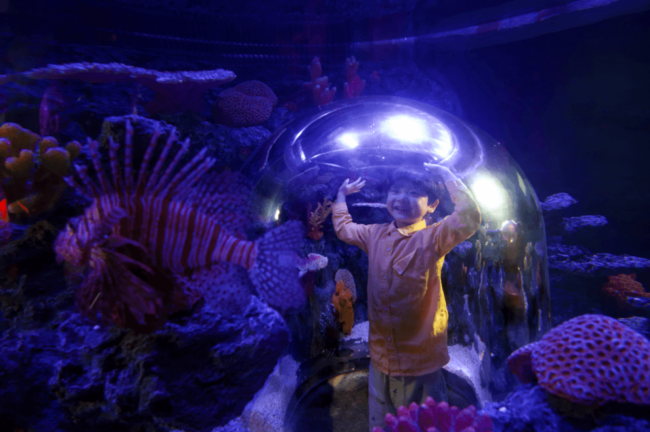 SEA LIFE COEX, Seoul Aquarium Ticket - image 2