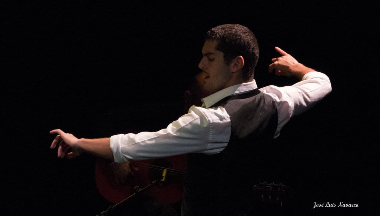 Flamenco Show at Triana Theater - image 4