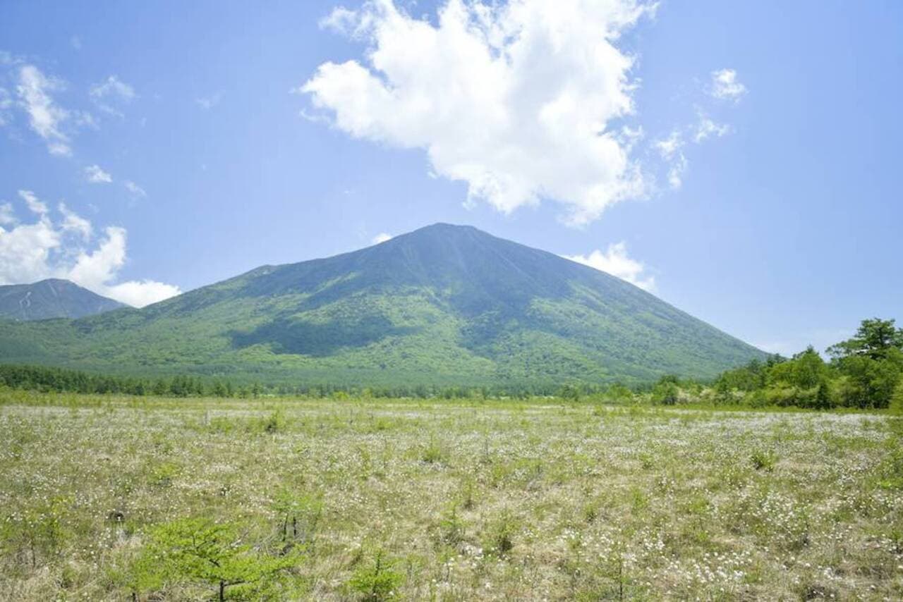 Nikko Pass All Area - imagen 5