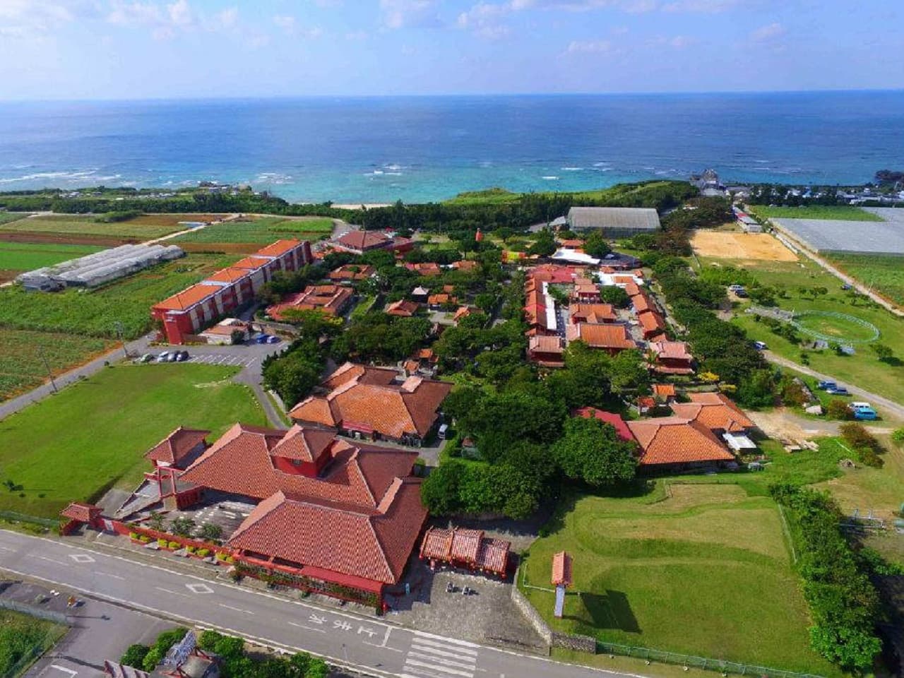 Okinawa Experience Kingdom MURASAKI - image 3
